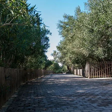 Leventis Complex With Sharing Pool Vila